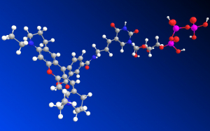 Labeled Nucleotide