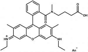 ATTO Rho6G