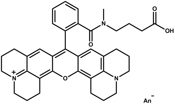 ATTO Rho101