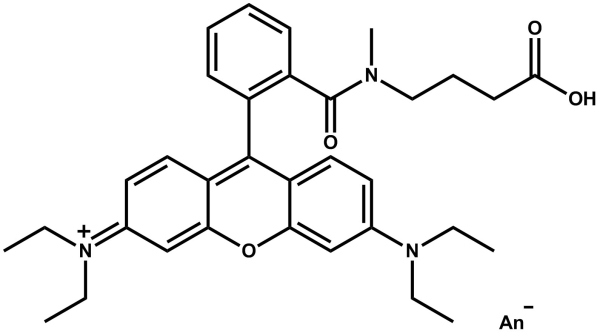 ATTO Rho3B