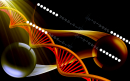 Labeled Oligonucleotides