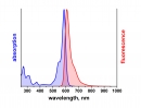 ATTO Rho101 ATTO Rho101